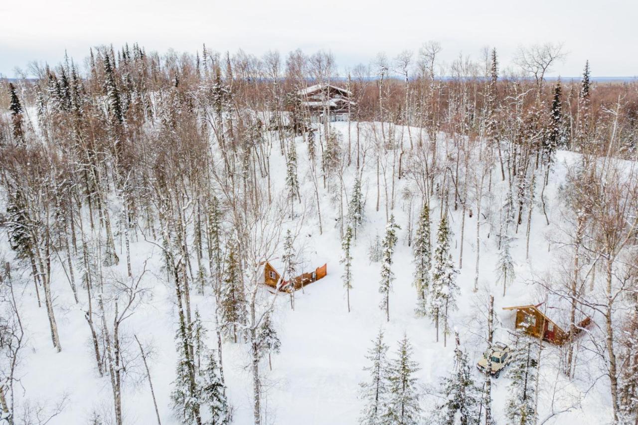 Spruce Cabin Talkeetna Exterior foto